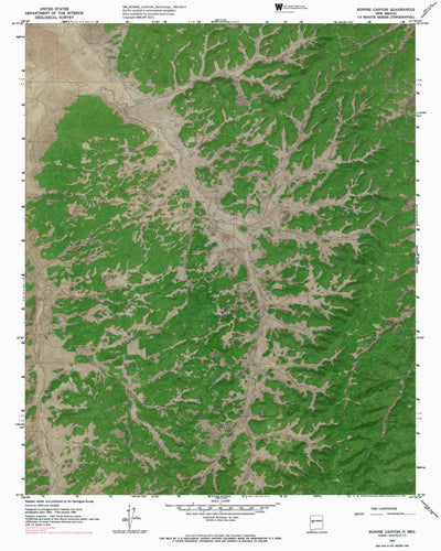 NM-BONINE CANYON: GeoChange 1963-2014 Preview 1