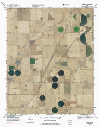TX-MORSE SE: GeoChange 1973-2012 Preview 1