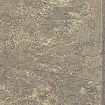 TX-MORTON SW: GeoChange 1969-2012 Preview 3