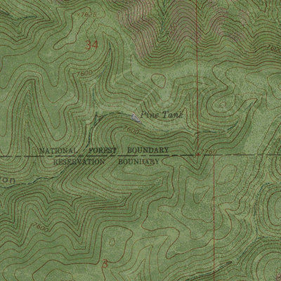 NM-RUIDOSO DOWNS: GeoChange 1963-2014 Preview 2