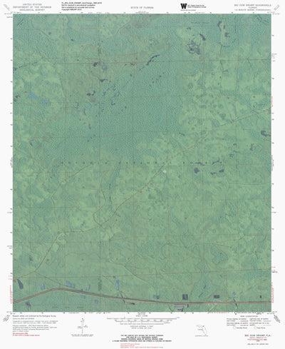 FL-BIG GUM SWAMP: GeoChange 1965-2010 Preview 1