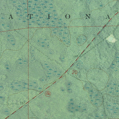 FL-BIG GUM SWAMP: GeoChange 1965-2010 Preview 2