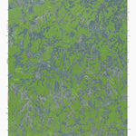 WV-ELMWOOD: GeoChange 1957-2011 Preview 1