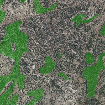 TX-LIVE OAK RANCH: GeoChange 1963-2012 Preview 2