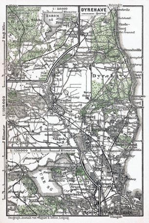 Dyrehave and environs map (Jægersborg Dyrehave in Copenhagen), 1931 Preview 1