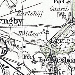 Dyrehave and environs map (Jægersborg Dyrehave in Copenhagen), 1929 Preview 2