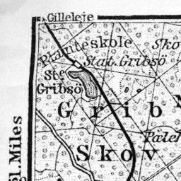 Dyrehave and environs map (Jægersborg Dyrehave in Copenhagen), 1910 Preview 3