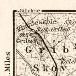 Dyrehave and environs map (Jægersborg Dyrehave in Copenhagen), 1911 Preview 3