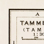 Tampere (Tammerfors) town plan, 1929. Environs of Tampere (vicinity map) Preview 3