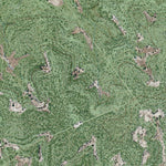 TX-CORALINA RANCH: GeoChange 1968-2012 Preview 3