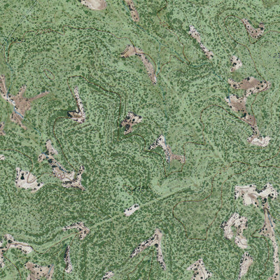 TX-CORALINA RANCH: GeoChange 1968-2012 Preview 3
