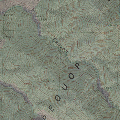 NV-NINEMILE CANYON: GeoChange 1974-2010 Preview 3