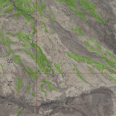 NV-SPRING GULCH: GeoChange 1970-2010 Preview 3