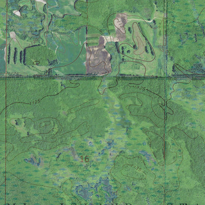 MN-WARROAD SW: GeoChange 1965-2013 Preview 3