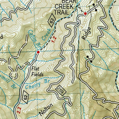 1501 AT Springer Mtn to Davenport Gap (map 10) Preview 3
