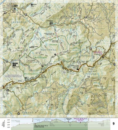 1502 AT Davenport Gap to Damascus (map 09) Preview 1
