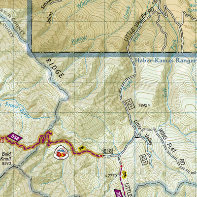 709 Wasatch Front North (east side) Preview 2