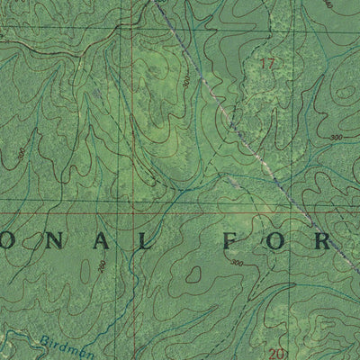 MS-HOMOCHITTO: GeoChange 1957-2012 Preview 2