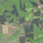 MS-WILLIAMSBURG: GeoChange 1973-2012 Preview 3
