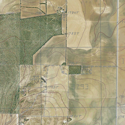 TX-MERETA: GeoChange 1976-2012 Preview 2