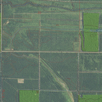 MS-LA-CANE BAYOU: GeoChange 1982-2012 Preview 3
