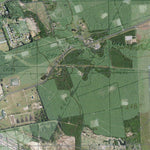 TX-CARTHAGE: GeoChange 1975-2012 Preview 2