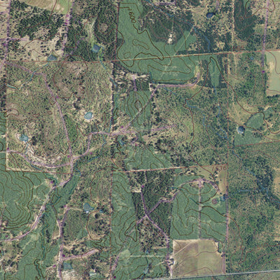 TX-CISCO SOUTH: GeoChange 1965-2012 Preview 3