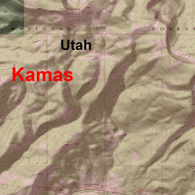 Utah DWR Kamas Hunt Utah Preview 2