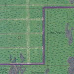 FL-DEEP LAKE SW: GeoChange 1951-2010 Preview 3