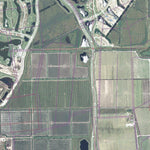 FL-IMMOKALEE SW: GeoChange 1951-2010 Preview 2