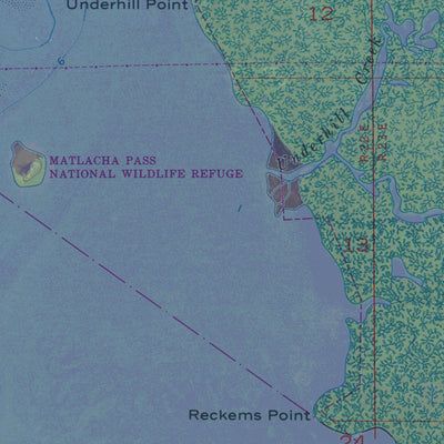FL-PINE ISLAND CENTER: GeoChange 1951-2010 Preview 2