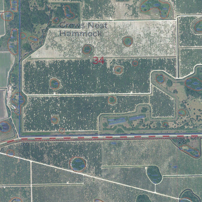 FL-CROWS NEST HAMMOCK: GeoChange 1971-2010 Preview 3