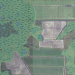 FL-CORKSCREW NW: GeoChange 1951-2010 Preview 2