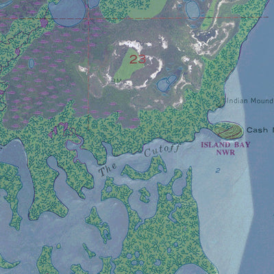 FL-PUNTA GORDA SW: GeoChange 1951-2010 Preview 2