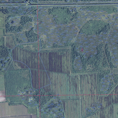 FL-DEVILS GARDEN SLOUGH: GeoChange 1970-2010 Preview 3