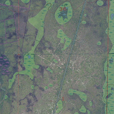 FL-TELEGRAPH SWAMP: GeoChange 1951-2010 Preview 3