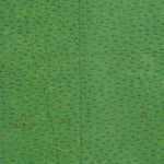 LA-MADEWOOD: GeoChange 1961-2010 Preview 2