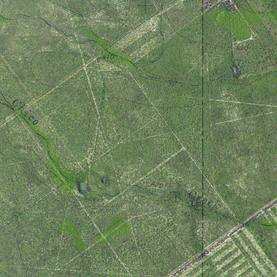 TX-CUEVITAS SW: GeoChange 1970-2012 Preview 3