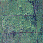 FL-KENANSVILLE NE: GeoChange 1951-2010 Preview 3
