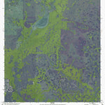 FL-LOWER MYAKKA LAKE: GeoChange 1971-2010 Preview 1