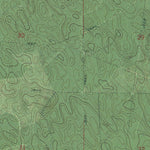 FL-JUNIPER SPRINGS: GeoChange 1969-2010 Preview 3