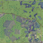 FL-LAKE WOODRUFF: GeoChange 1957-2010 Preview 3