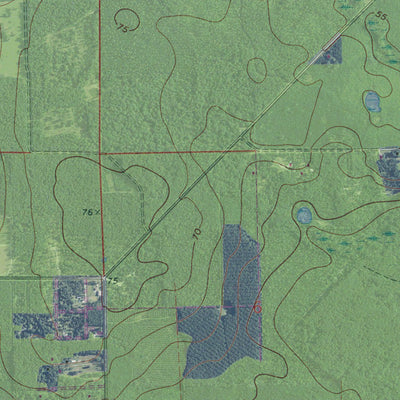FL-FORT MCCOY: GeoChange 1969-2010 Preview 2