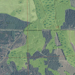 FL-DINNER ISLAND: GeoChange 1969-2010 Preview 2