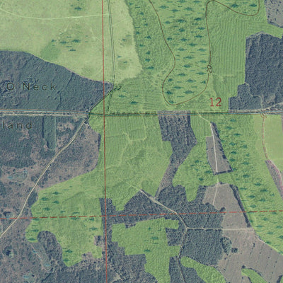 FL-DINNER ISLAND: GeoChange 1969-2010 Preview 2