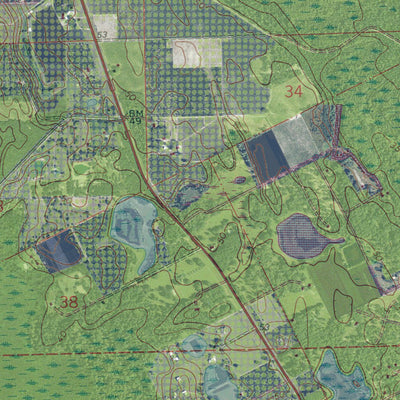 FL-LAKE DIAS: GeoChange 1969-2010 Preview 3
