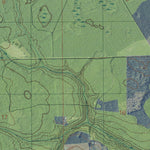 FL-RICE CREEK: GeoChange 1946-2010 Preview 2