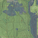 FL-RICE CREEK: GeoChange 1946-2010 Preview 3