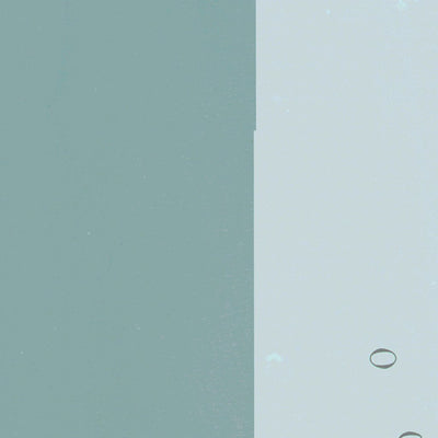 FL-MATANZAS INLET: GeoChange 1952-2010 Preview 2