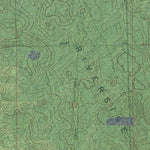 FL-LAKE DELANCY: GeoChange 1969-2010 Preview 3